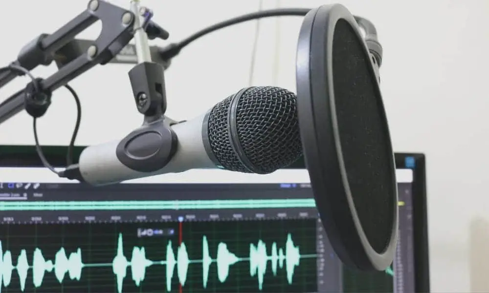 How To Set Up A Pop Filter Fast To Get Best Results
