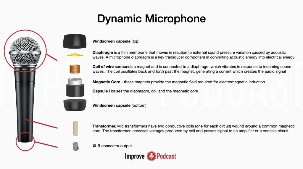 Detailed Anatomy of a Dynamic Microphone