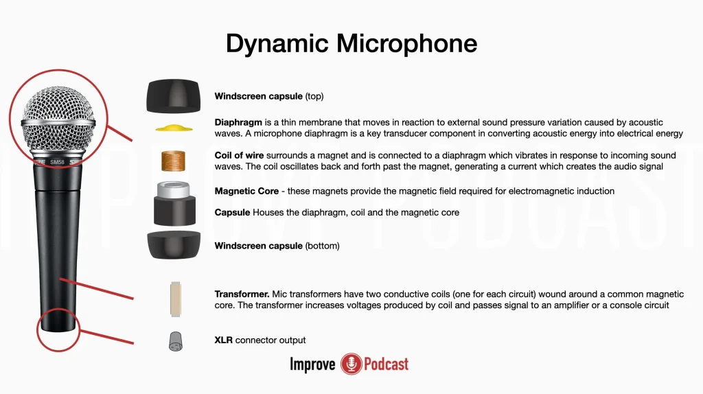 Do Dynamic Microphones Need Pop Filters and How to Use Them